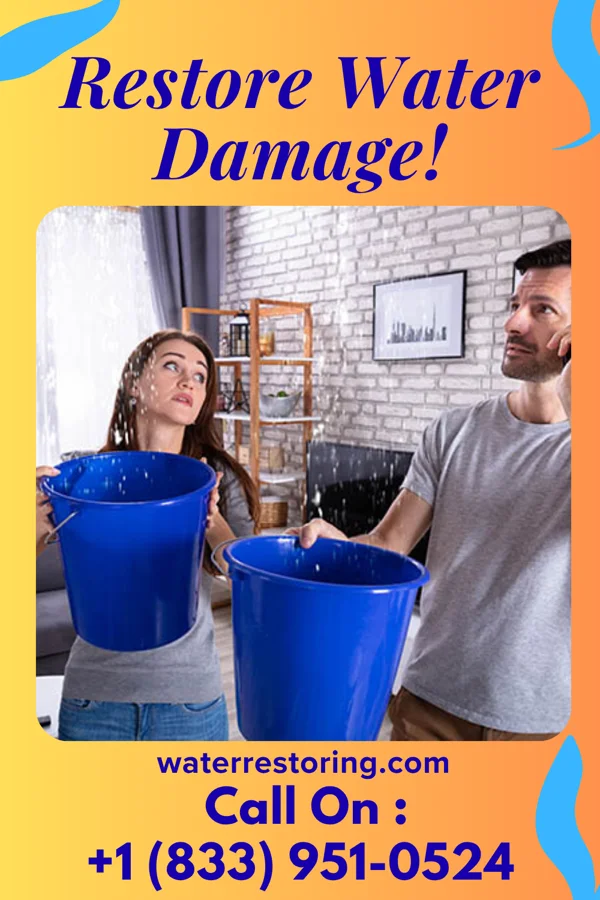 water restoration Universal Water Cleanup Experts Alton