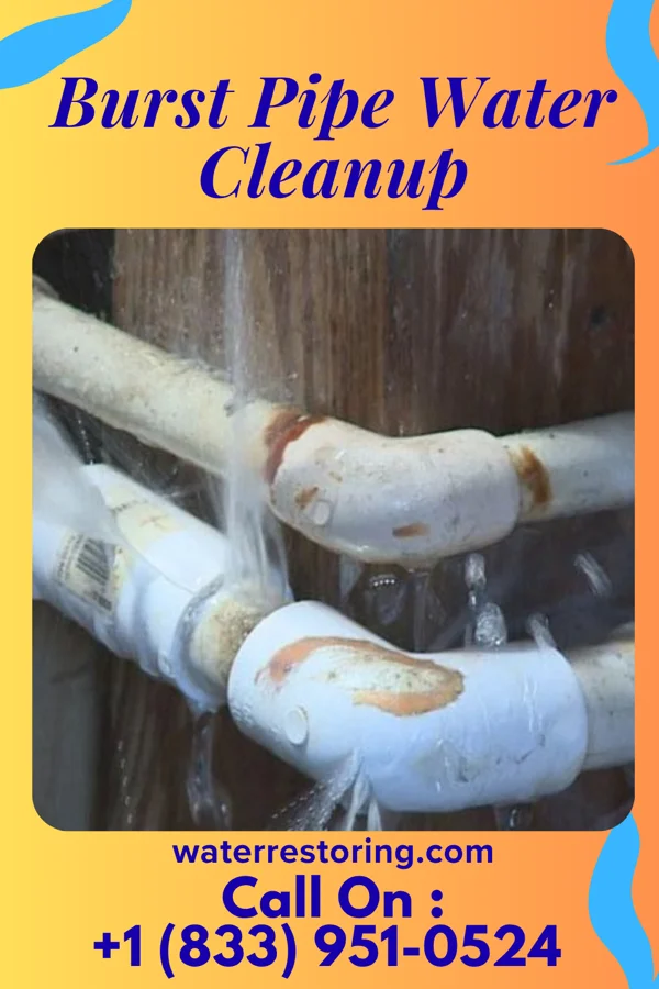 Burst Pipe Water Cleanup in Alton, MO