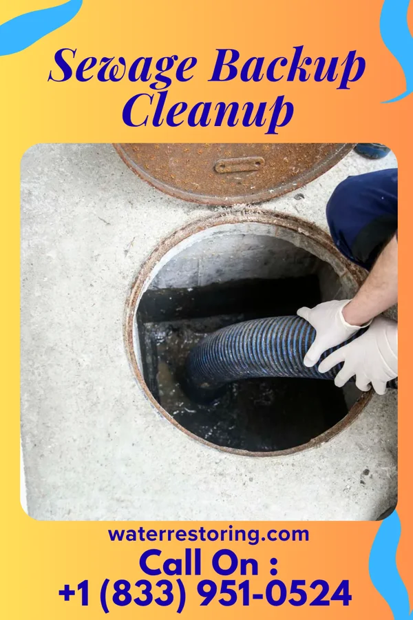 Sewage Backup Cleanup in Alton, MO